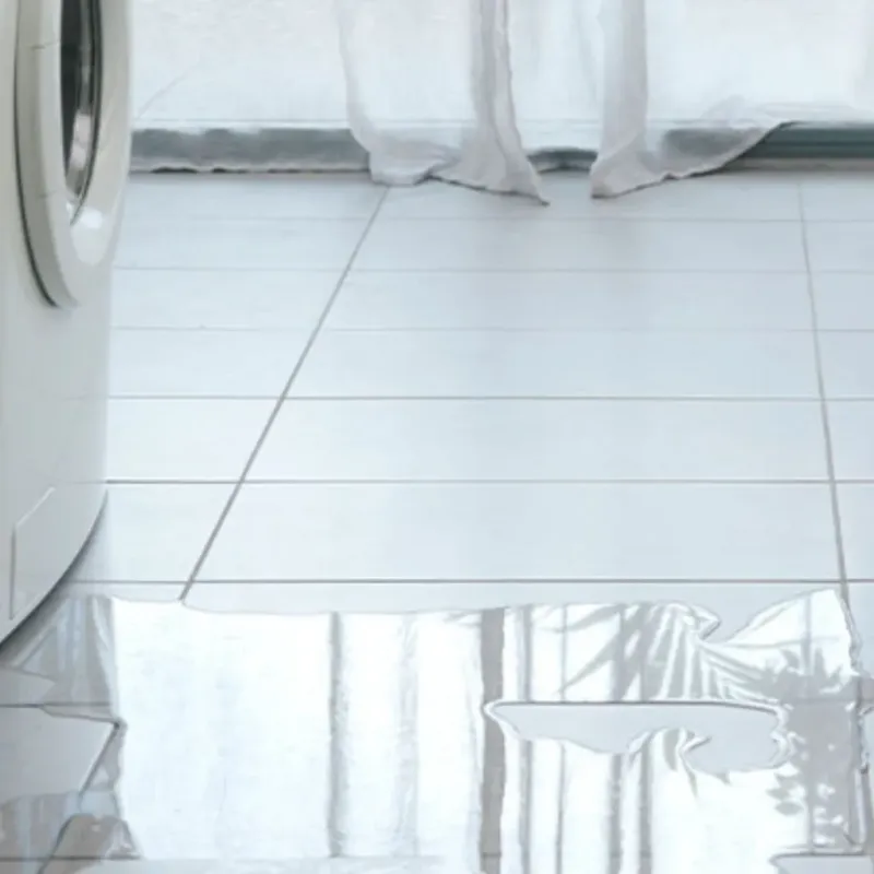 Appliance Leak Cleanup in Lewisburg, PA