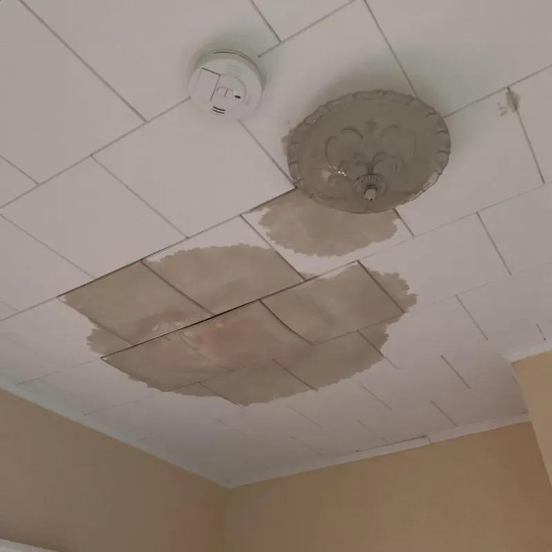 Ceiling Water Damage Repair in Lewisburg, PA