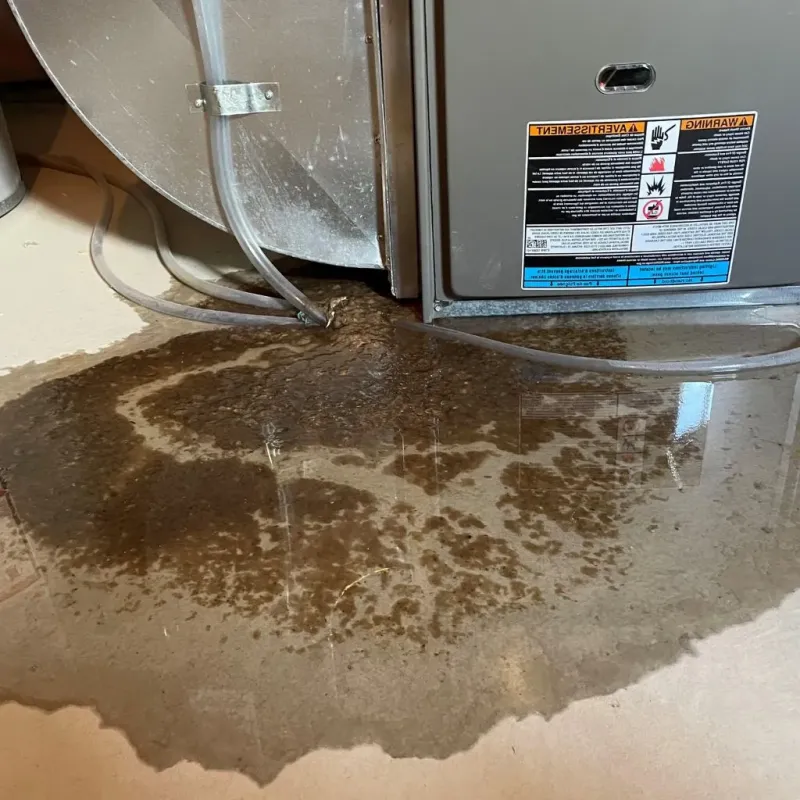 Pipe Burst and Leak Restoration in Lewisburg, PA