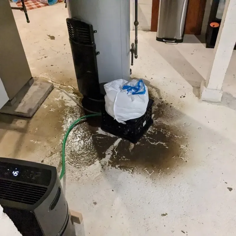 Sewage Backup Cleanup Service in Lewisburg, PA